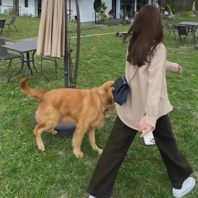 狂野之曲